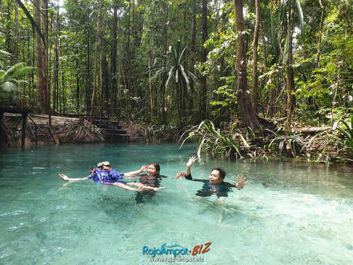 Paket Wisata Raja Ampat