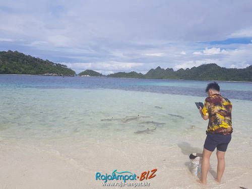Paket Wisata Raja Ampat