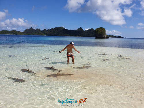 Paket Wisata Raja Ampat